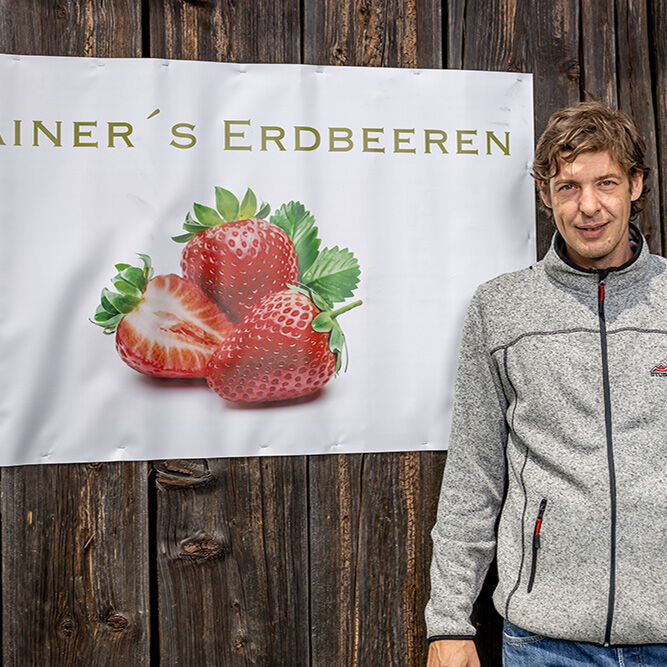 Rainer's Erdbeeren