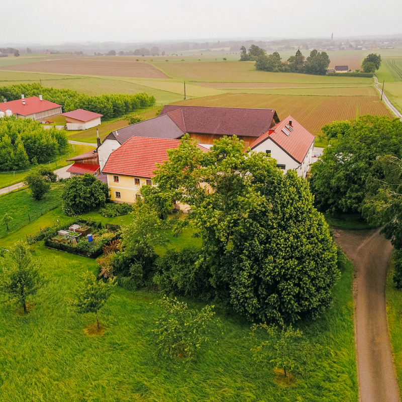 Biohof Staller im Feld